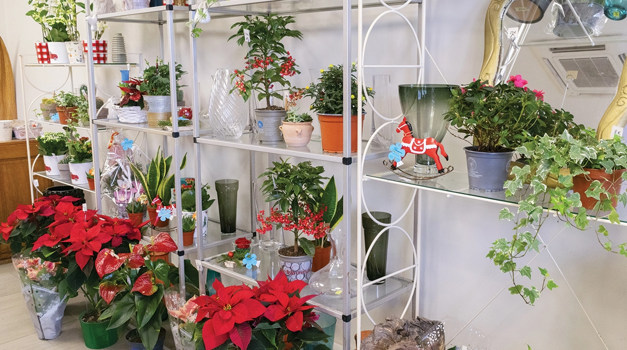 Florescence - Oyonnax - 01100.fr Florescence - Oyonnax - 01100.fr