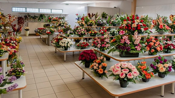 Lagier Fleurs